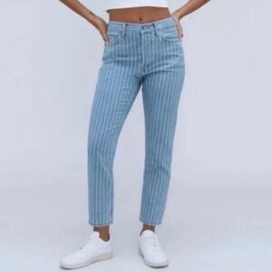 EVERLANE The 90's Cheeky Straight Jeans Stripe Size 28 Ankle